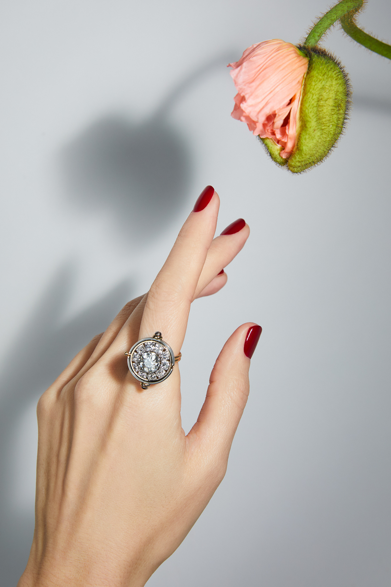 Elie Top Collection Sirius Portée