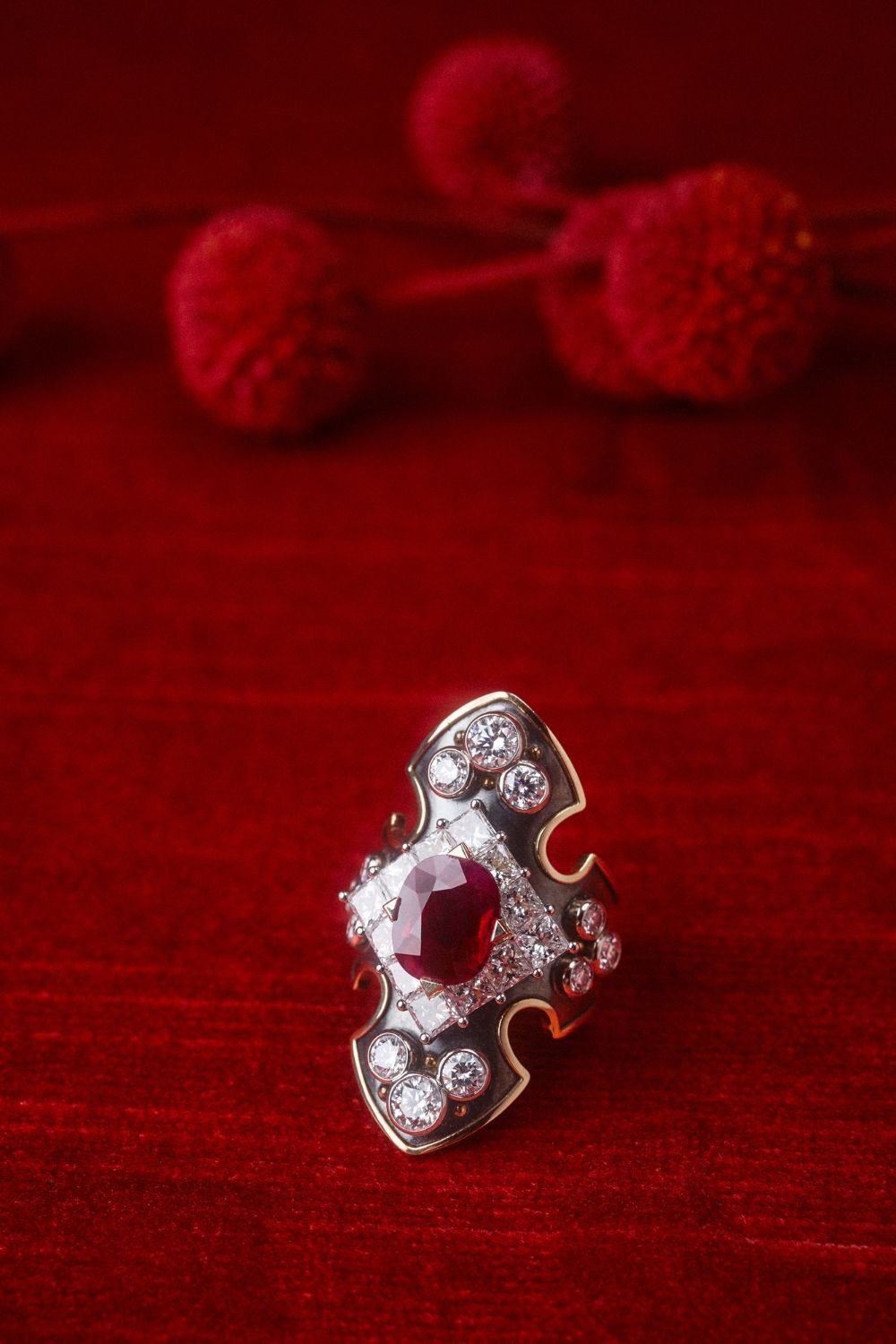 Elie Top Bague Bouclier Rubis et Diamants La Dame du Lac Nature Morte