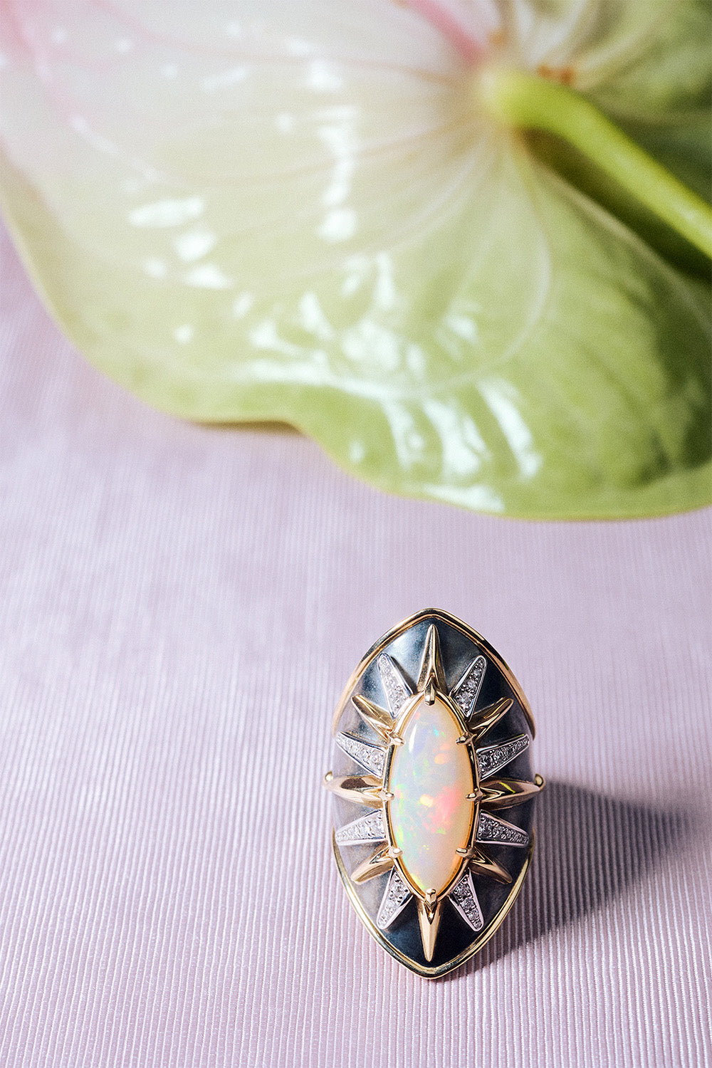 Elie Top Bague Écu Opale La Dame du Lac Nature Morte
