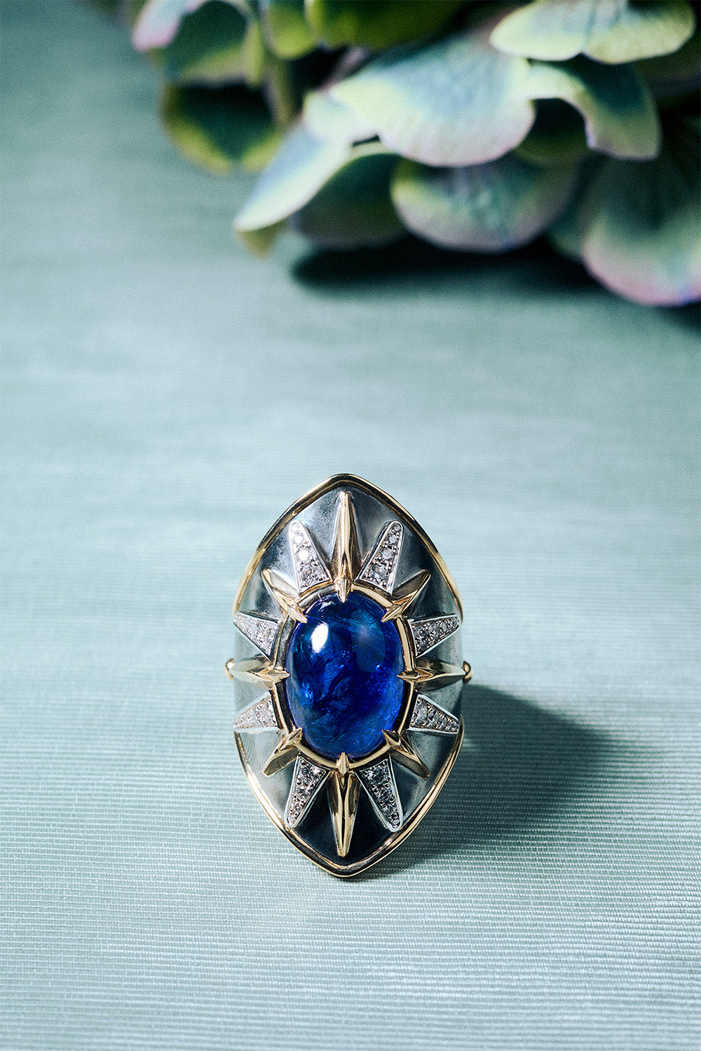 Elie Top Bague Écu Tanzanite La Dame du Lac Nature Morte