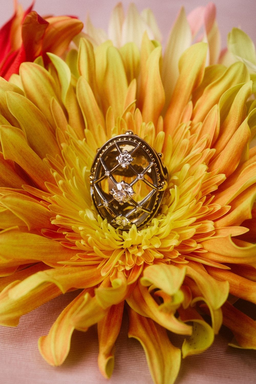 Elie Top Bague Valmont Liaisons Dangereuses Nature Morte